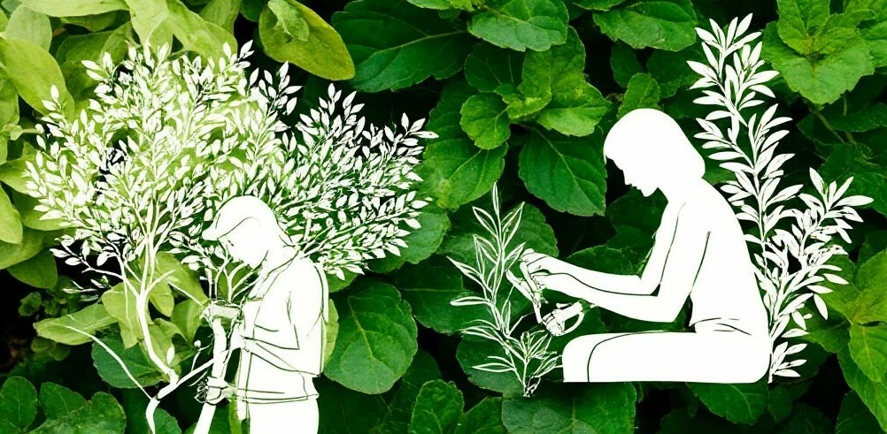 Основные услуги компании